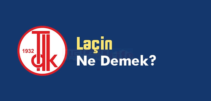 Laçin ne demek? TDK'ya göre Laçin kelime anlamı nedir? Laçin sözlük anlamı