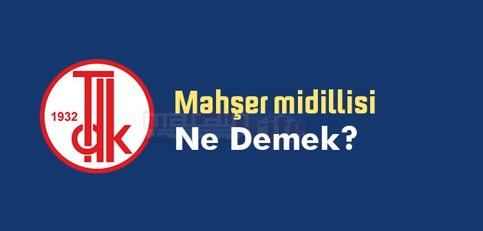 Mahşer midillisi ne demek? TDK'ya göre Mahşer midillisi sözlük anlamı nedir?