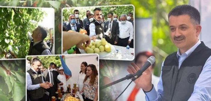 Malatya ve Elâzığ'dan sonra Iğdır'da kayısı üretiminde iddialı