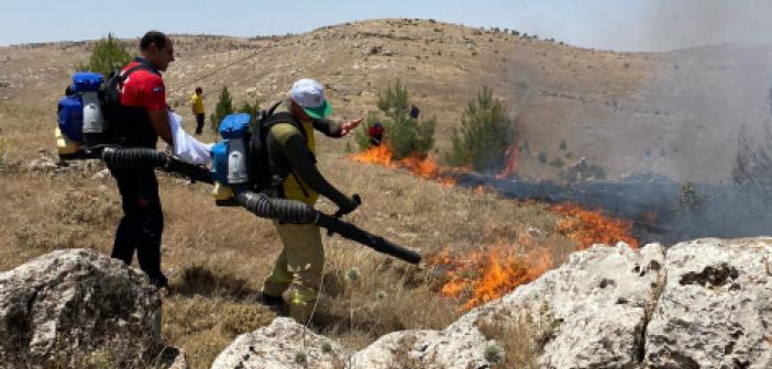 Mardin’de ağaçlık alanda yangın: 12 dönümlük alan kül oldu
