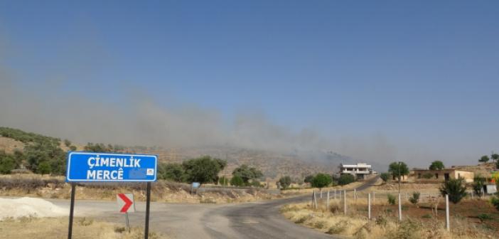 Mardin’de orman yangını