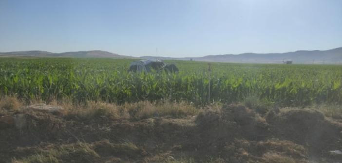 Mardin’de takla atarak mısır tarlasında devrilen araçta 1’i ağır, 4 kişi yaralandı