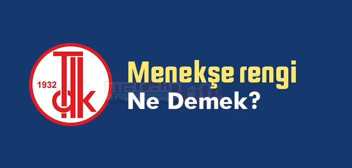 Menekşe rengi ne demek? TDK'ya göre Menekşe rengi sözlük anlamı nedir?