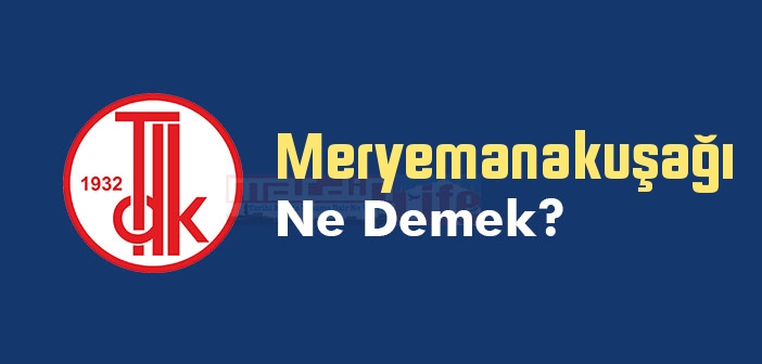 Meryemanakuşağı ne demek? TDK'ya göre Meryemanakuşağı kelime anlamı nedir? Meryemanakuşağı sözlük anlamı