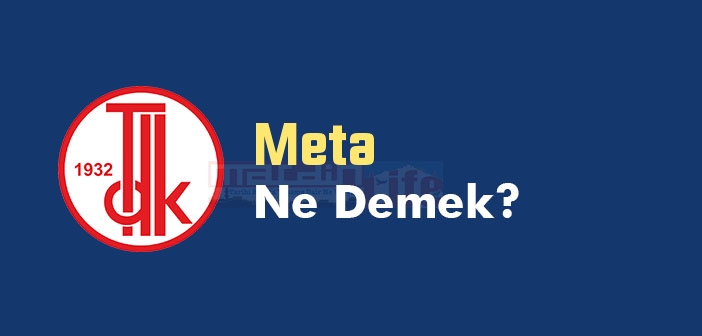 Meta ne demek? TDK'ya göre Meta kelime anlamı nedir? Meta sözlük anlamı ne?