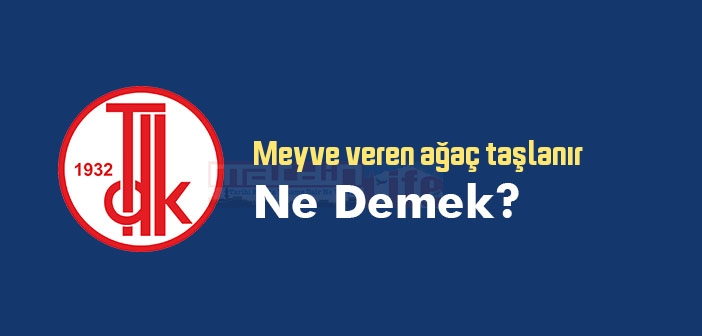 Meyve veren ağaç taşlanır ne demek? Meyve veren ağaç taşlanır sözünün anlamı nedir?