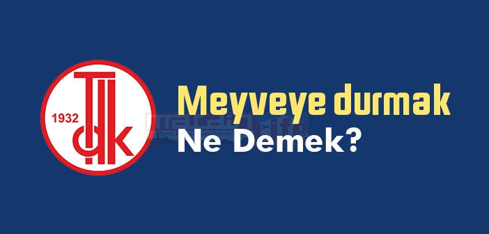 Meyveye durmak ne demek? Meyveye durmak sözünün anlamı nedir?