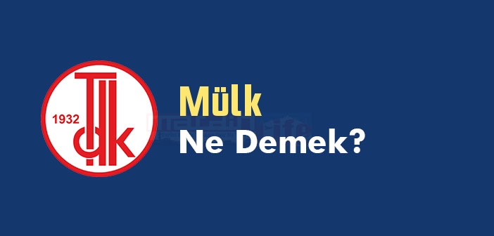 Mülk ne demek? TDK'ya göre Mülk kelime anlamı nedir? Mülk sözlük anlamı ne?