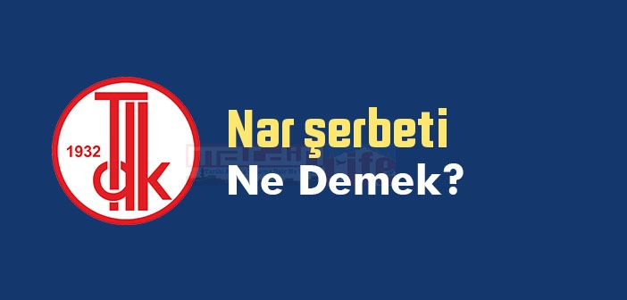 Nar şerbeti ne demek? TDK'ya göre Nar şerbeti sözlük anlamı nedir?
