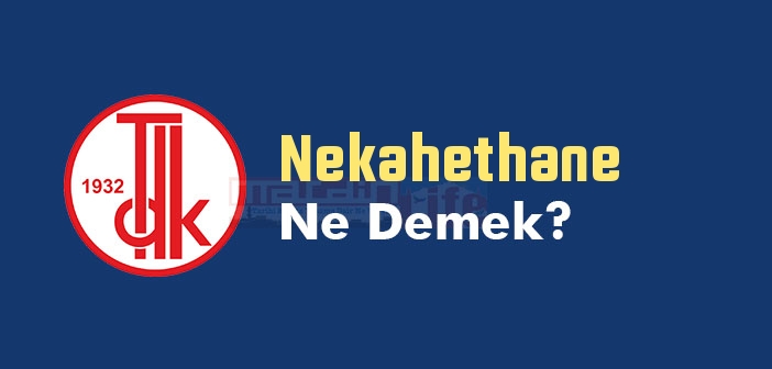Nekahethane ne demek? TDK'ya göre Nekahethane kelime anlamı nedir? Nekahethane sözlük anlamı
