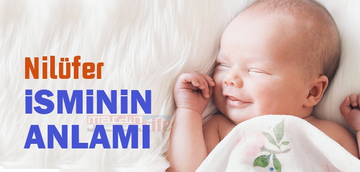Nilüfer isminin anlamı nedir? Nilüfer ne demek?