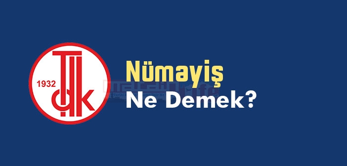 Nümayiş ne demek? TDK'ya göre Nümayiş kelime anlamı nedir? Nümayiş sözlük anlamı
