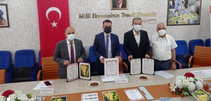 Ömerli'nin Lezzetine Coğrafi İşaret Tescili