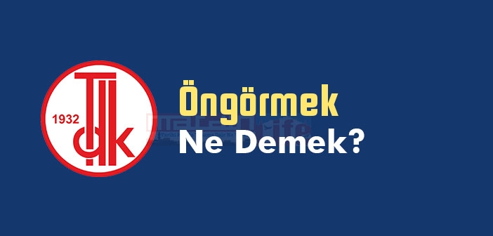 Öngörmek ne demek? TDK'ya göre Öngörmek kelime anlamı nedir? Öngörmek sözlük anlamı