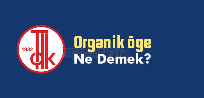 Organik öge ne demek? TDK'ya göre Organik öge sözlük anlamı nedir?