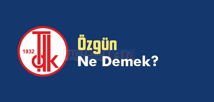 Özgün ne demek? TDK'ya göre Özgün kelime anlamı nedir? Özgün sözlük anlamı