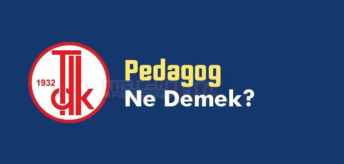 Pedagog ne demek? TDK'ya göre Pedagog kelime anlamı nedir? Pedagog sözlük anlamı