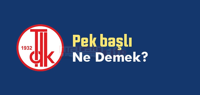 Pek başlı sözlük anlamı nedir? TDK'ya göre Pek başlı ne demek?