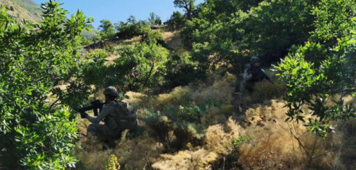 Pençe-Yıldırım operasyonunda 2 PKK mensubu öldürüldü