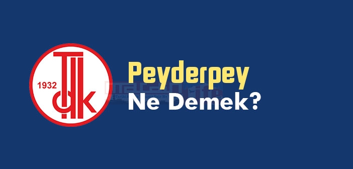 Peyderpey ne demek? TDK'ya göre Peyderpey kelime anlamı nedir? Peyderpey sözlük anlamı