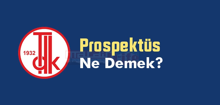 Prospektüs ne demek? TDK'ya göre Prospektüs kelime anlamı nedir? Prospektüs sözlük anlamı