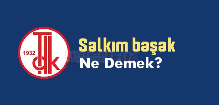 Salkım başak ne demek? TDK'ya göre Salkım başak sözlük anlamı nedir?