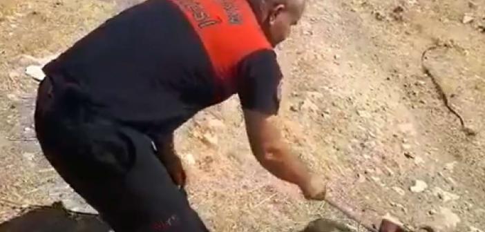Şanlıurfa'da bir evin içerisinde yakalanan yılan doğaya salındı