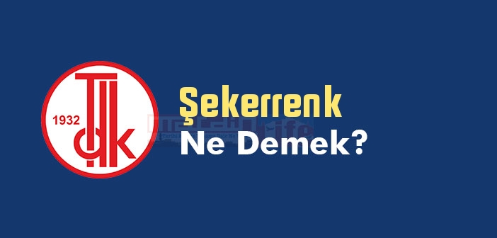 Şekerrenk ne demek? TDK'ya göre Şekerrenk kelime anlamı nedir? Şekerrenk sözlük anlamı