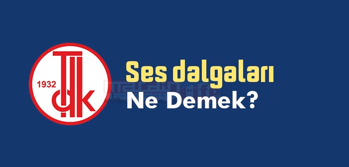 Ses dalgaları ne demek? TDK'ya göre Ses dalgaları sözlük anlamı nedir?