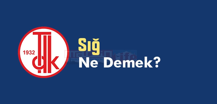 Sığ ne demek? TDK'ya göre Sığ kelime anlamı nedir? Sığ sözlük anlamı