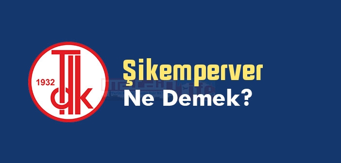 Şikemperver ne demek? TDK'ya göre Şikemperver kelime anlamı nedir? Şikemperver sözlük anlamı