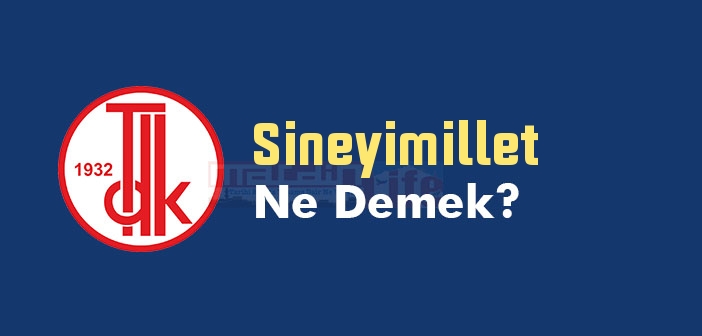 Sineyimillet ne demek? TDK'ya göre Sineyimillet kelime anlamı nedir? Sineyimillet sözlük anlamı