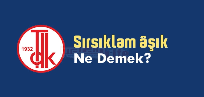 Sırsıklam âşık ne demek? TDK'ya göre Sırsıklam âşık sözlük anlamı nedir?