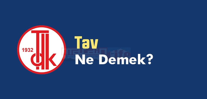 Tav ne demek? TDK'ya göre Tav kelime anlamı nedir? Tav sözlük anlamı