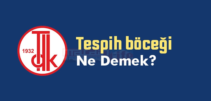 Tespih böceği ne demek? TDK'ya göre Tespih böceği sözlük anlamı nedir?