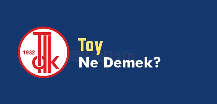 TDK'ya göre Toy kelime anlamı nedir? Toy sözlük anlamı ne? Toy ne demek?