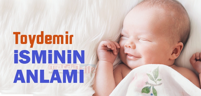 Toydemir isminin anlamı nedir? Toydemir ne demek?