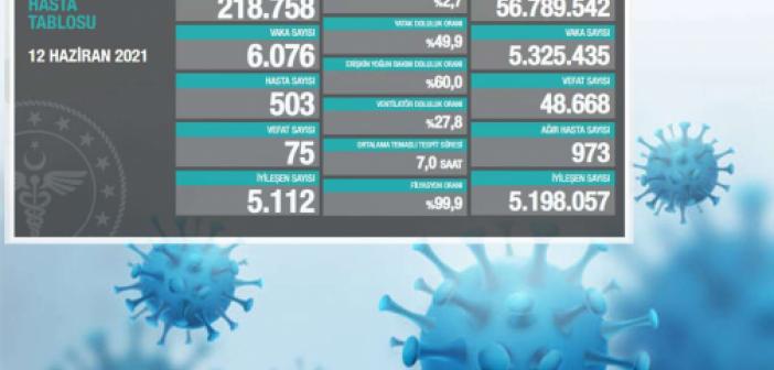Türkiye'de Coronavirus: Son 24 saatte 75 can kaybı, 6 bin 76 yeni vaka