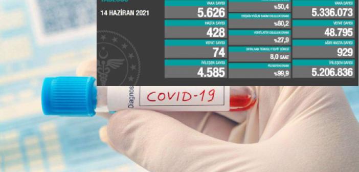 Türkiye'de son 24 saatte 74 kişi Covid-19 salgınından vefat etti