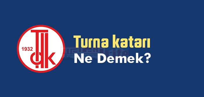 Turna katarı ne demek? TDK'ya göre Turna katarı sözlük anlamı nedir?