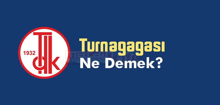 Turnagagası ne demek? TDK'ya göre Turnagagası kelime anlamı nedir? Turnagagası sözlük anlamı