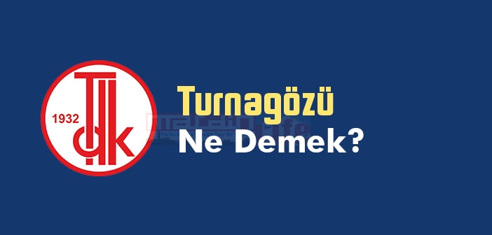 Turnagözü ne demek? TDK'ya göre Turnagözü kelime anlamı nedir? Turnagözü sözlük anlamı