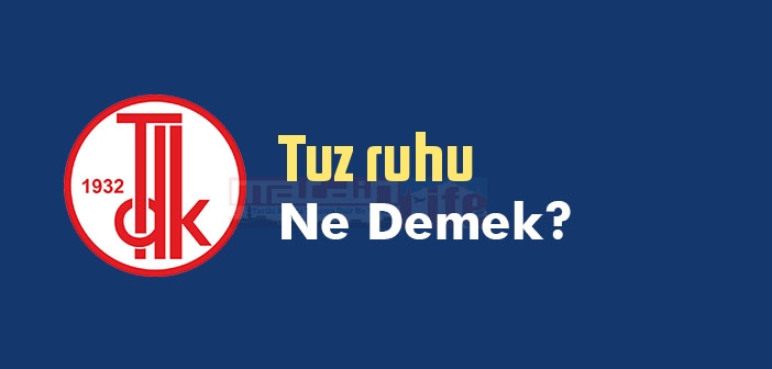 Tuz ruhu ne demek? TDK'ya göre Tuz ruhu sözlük anlamı nedir?