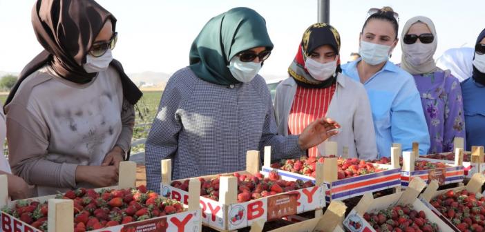 'Üreten Kadınlar Şenliği' büyük ilgi gördü!