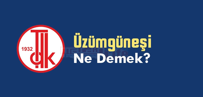 Üzümgüneşi kelime anlamı nedir? TDK'ya göre Üzümgüneşi ne demek? Üzümgüneşi sözlük anlamı