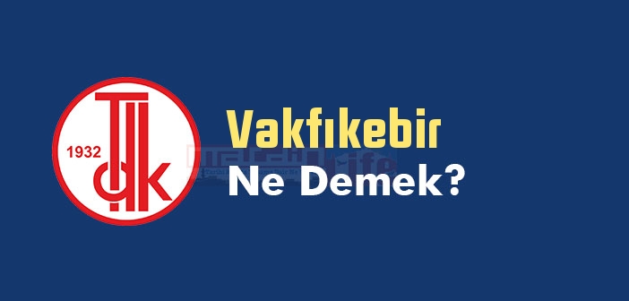 Vakfıkebir ne demek? TDK'ya göre Vakfıkebir kelime anlamı nedir? Vakfıkebir sözlük anlamı