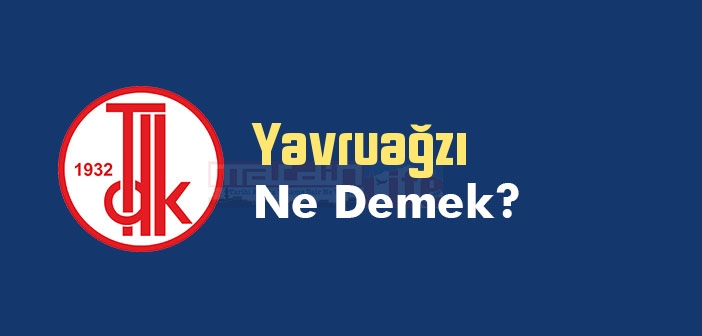 Yavruağzı ne demek? TDK'ya göre Yavruağzı kelime anlamı nedir? Yavruağzı sözlük anlamı