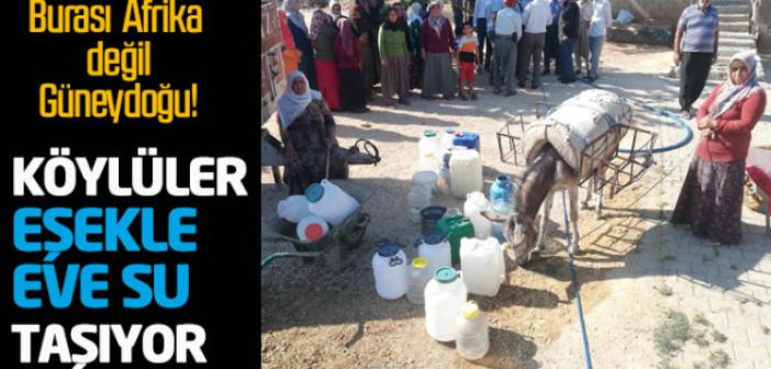 Yıl 2021 hala eşekle su taşıyan köyler var