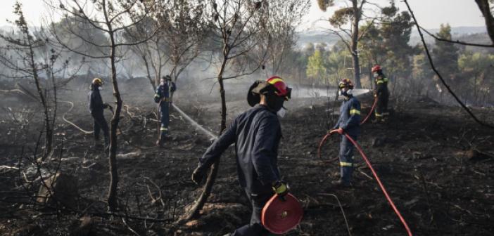 Akdeniz ülkeleri orman yangınlarıyla mücadele ediyor