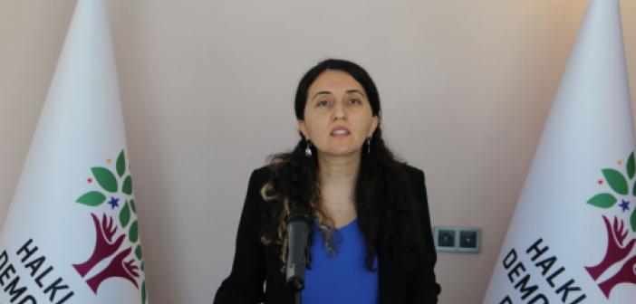 HDP, DEDAŞ ve çiftçiler arasındaki gerginliği meclise taşıdı